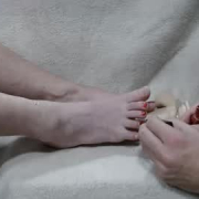 create_your_own_adam_and_eve