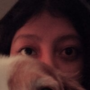 lily95_