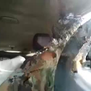 lovelii_ladiie_iriis88