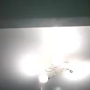 nicelady99
