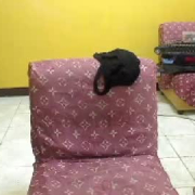 pakksexy69