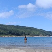 Flacidas