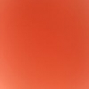 telugu_parrot