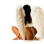 sex-angel-