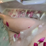 Beauty_and_the_Beast_retu