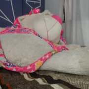 adhara97_