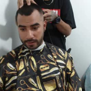 fenix_fox