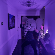 im_PhoebeMiller