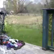 fun_all_the_time6699