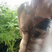 SeanSativa