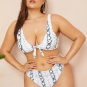 Ashley-Santos