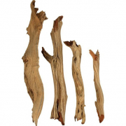 MilfAndHerCub69