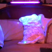 cloudedencounters420