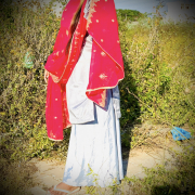 indian-jeeya