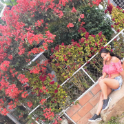 cristal_candy_