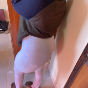 Thick_muffin