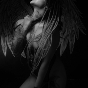 White_and_Dark_Fox
