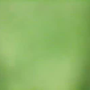 ginger_05