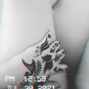 Netta_