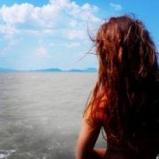 WildAffair