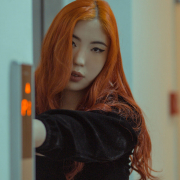 GingerAri