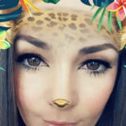 hollywexler